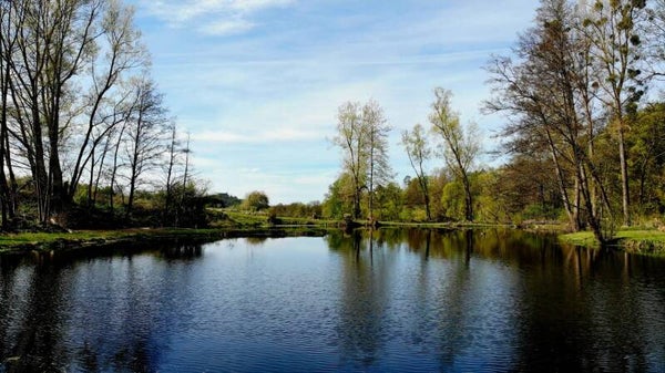 Die Tageskarte für Teich 1 am 15.08.26 (Himmelblau)