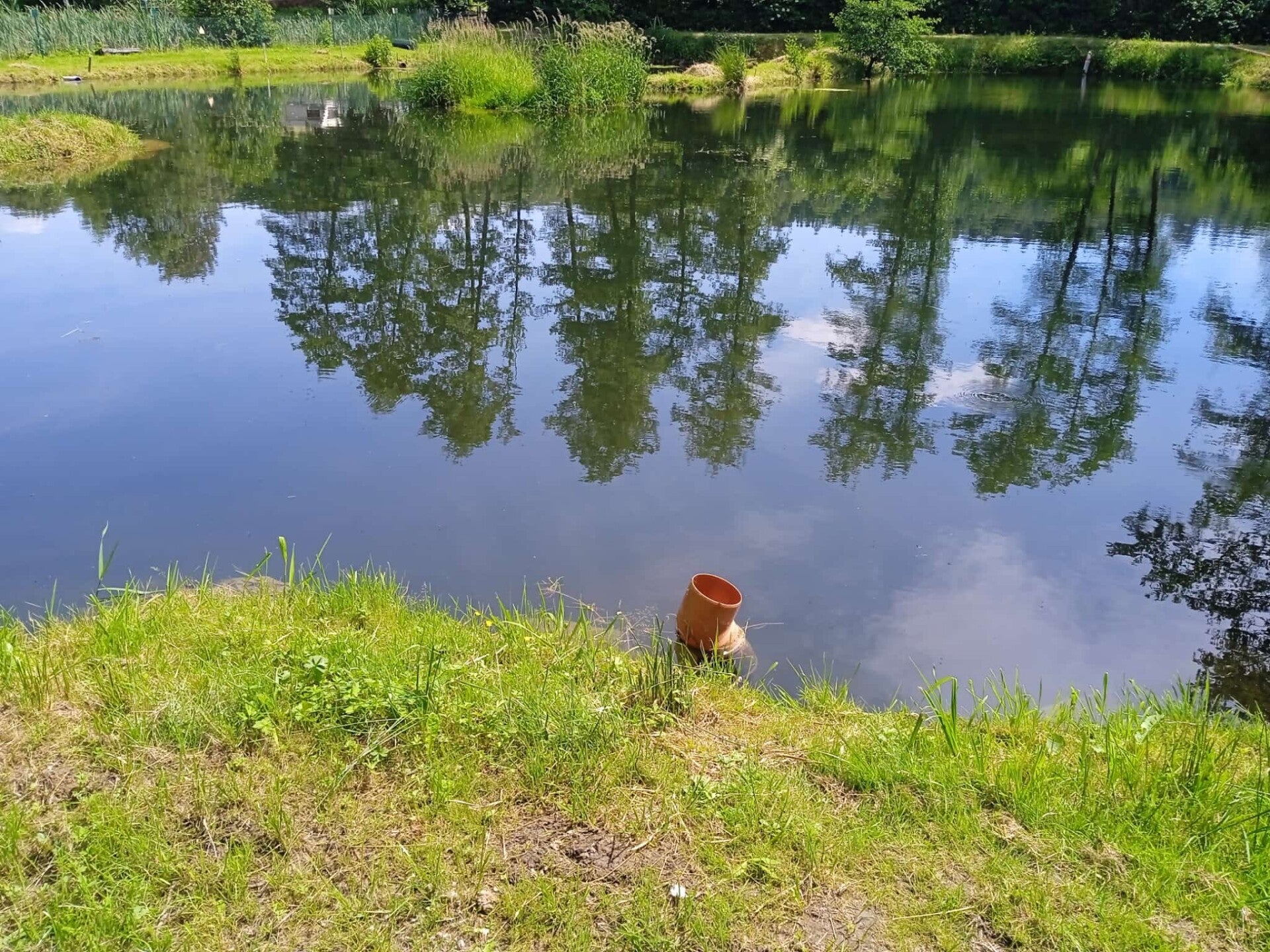 Die Tageskarte für Teich 2 Normales Angeln am 26.06.26