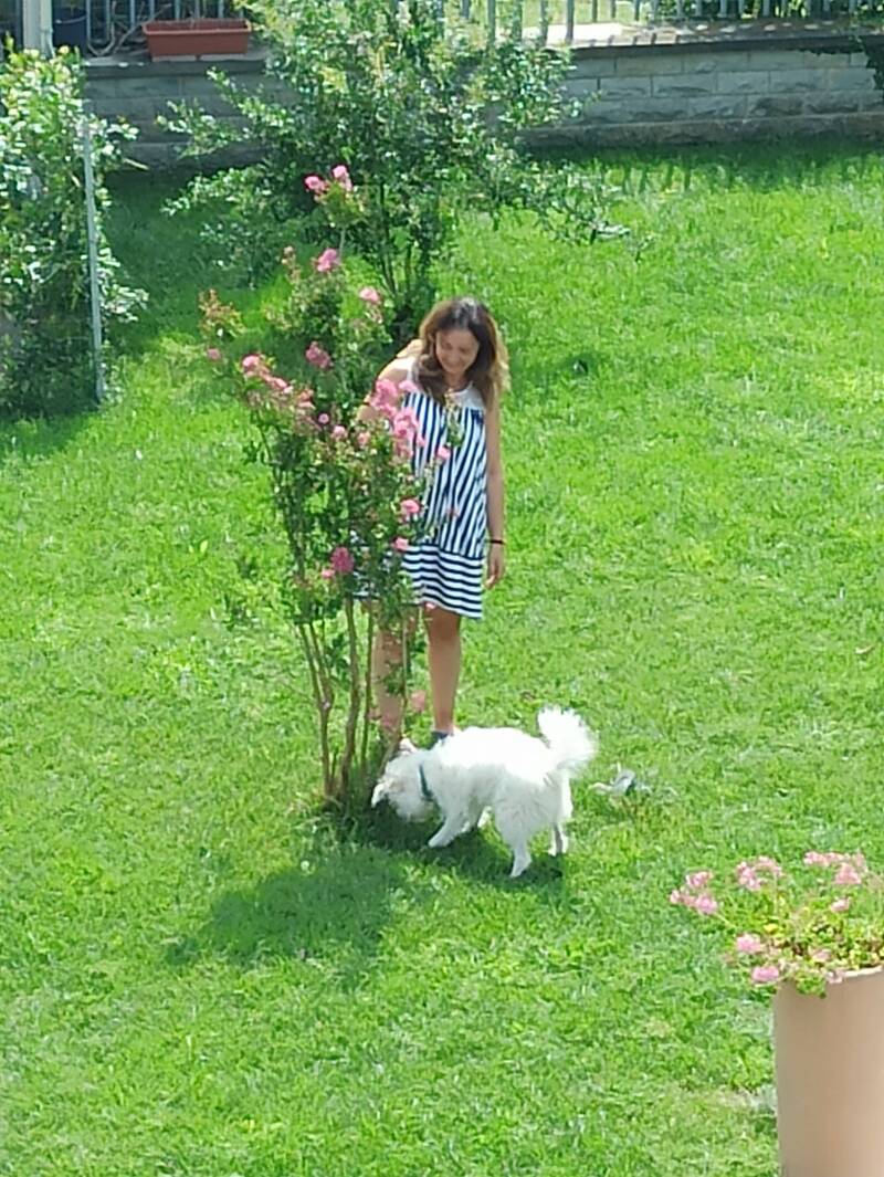 Assisi animali ammessi