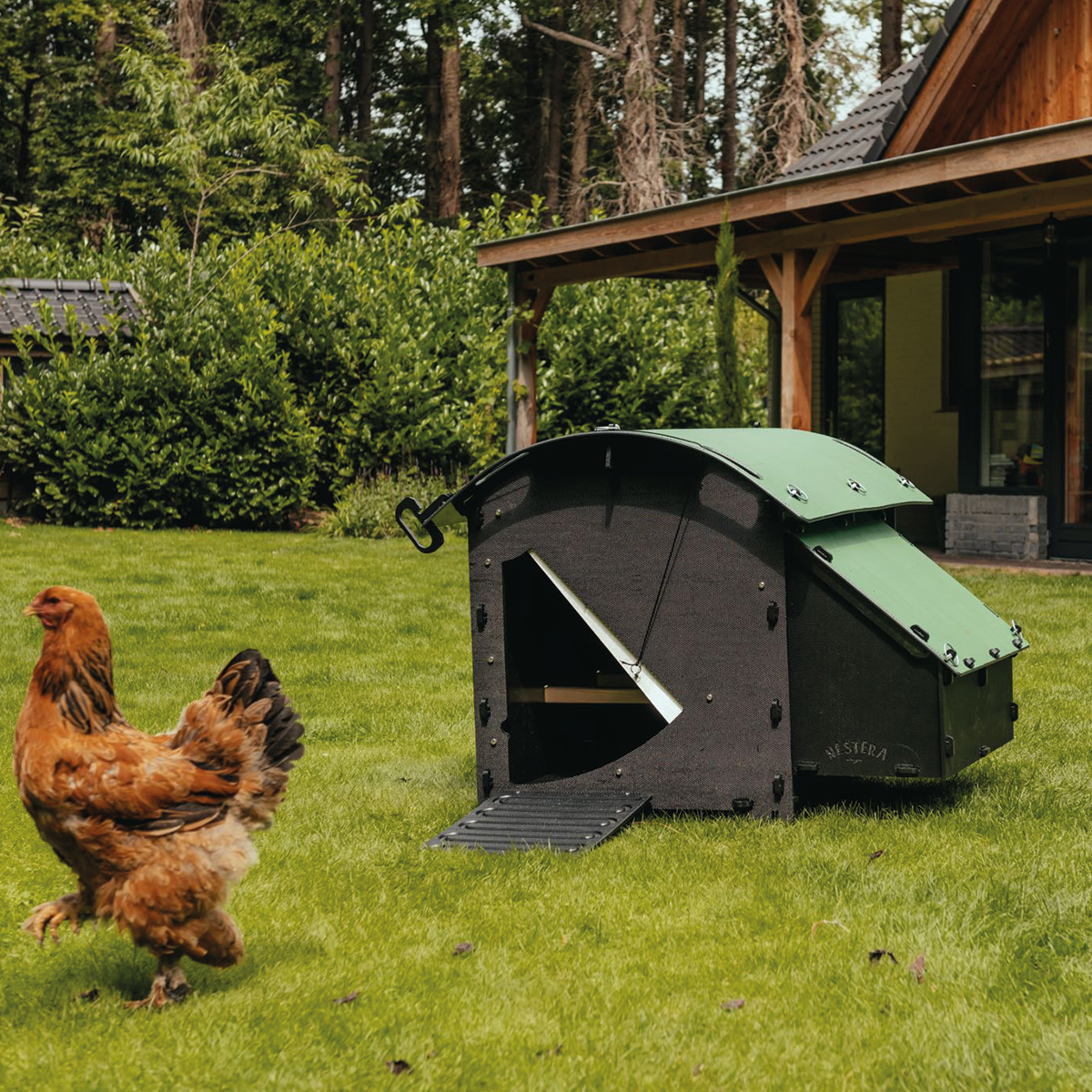 Nestera Chicken Coop / Products PetHensCare Ltd