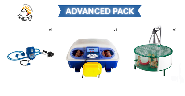 The Hatching Advanced Pack