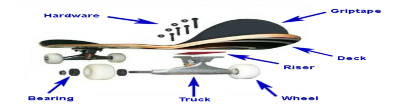 skateboard set up www.skateboardplanet.nl
