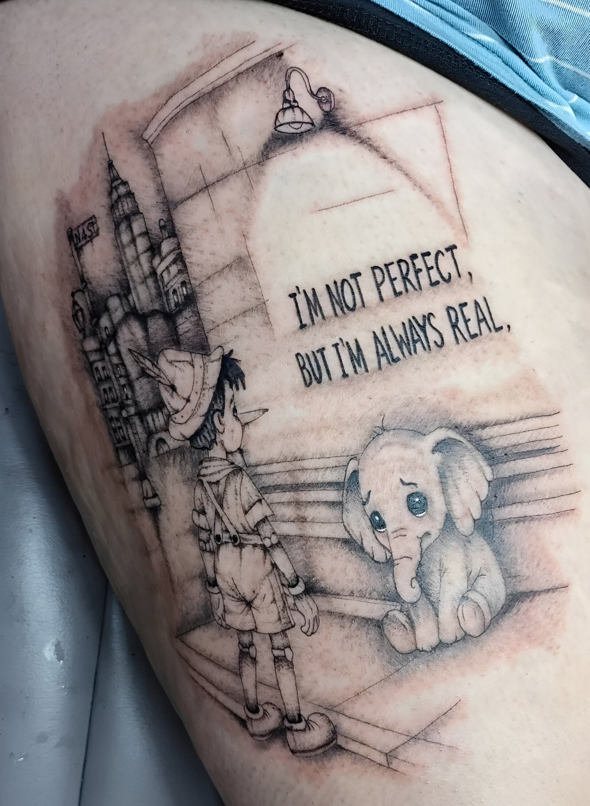 perfect-dumbo-standard.jpg