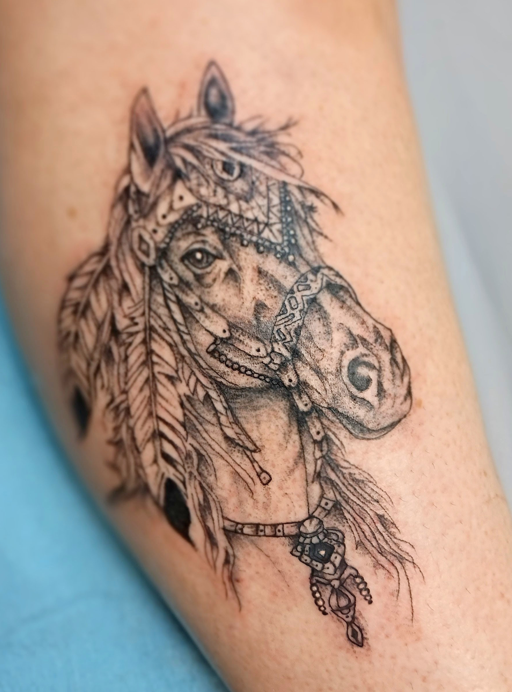 perfect-horse-standard.png