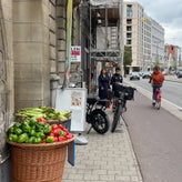 img_0781-standard.jpg