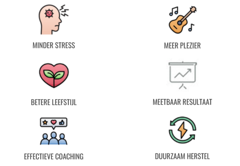 Samenvatting icons HerstelKracht