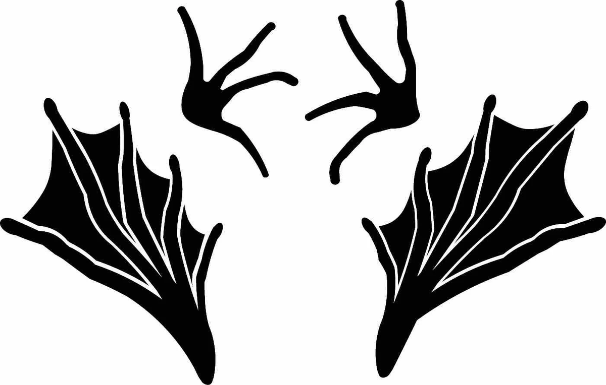 Spoorzoeken Sign4Nature spoorzoeken-sign4nature