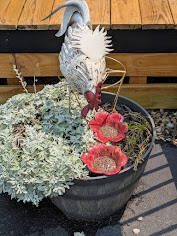 Garden Critter Bath