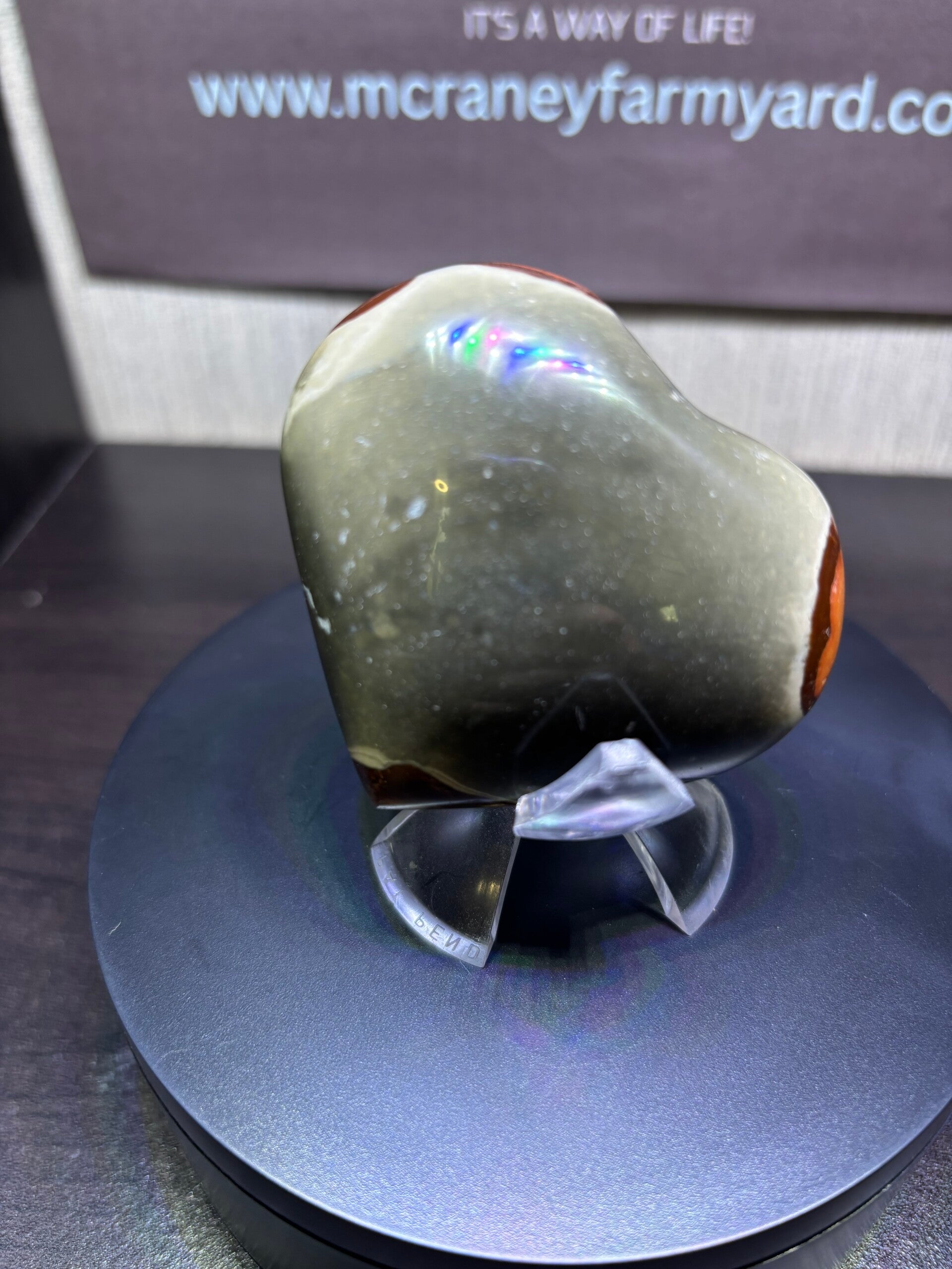 Polychrome Jasper large Heart