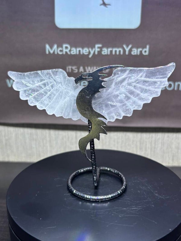 Dragon Display