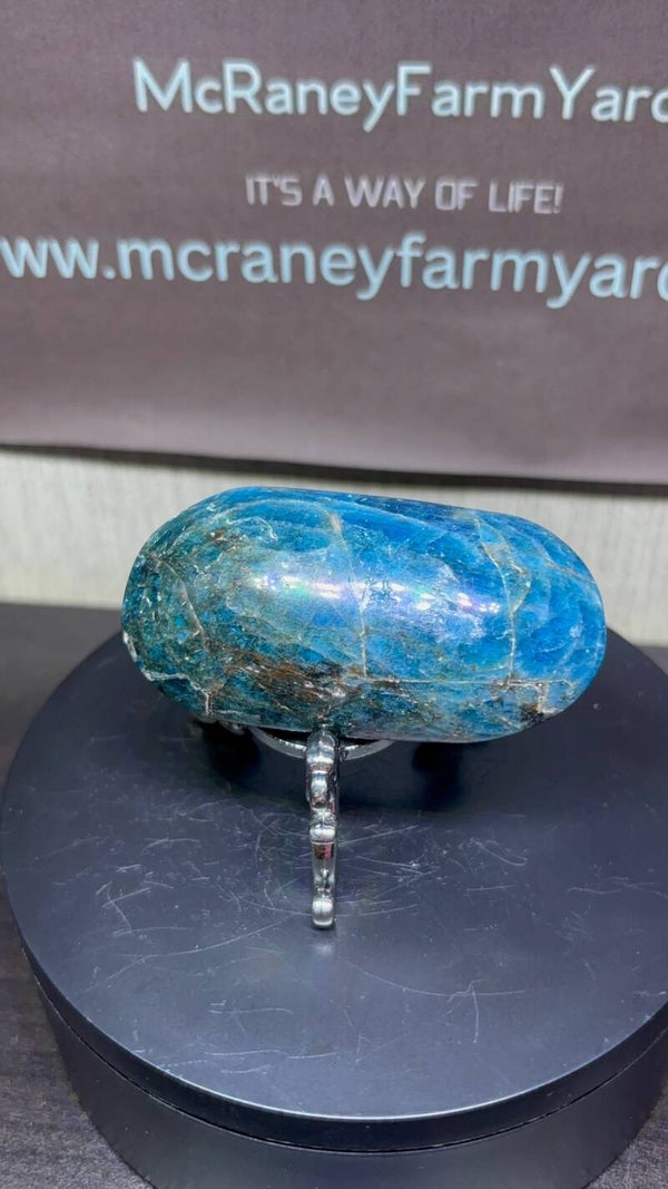 Blue Apatite Freeform