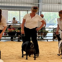 img_7174-standard-hpdng8.jpg