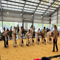 img_7201-standard.jpg