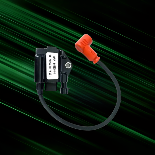 Zündspule Rotax Evo