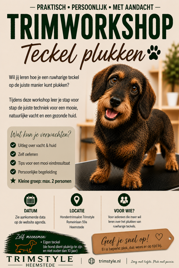 Workshop Vachtverzorging en Plukken Ruwharige Teckel 17 oktober 2026