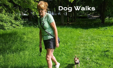 Dog walking Milton keynes