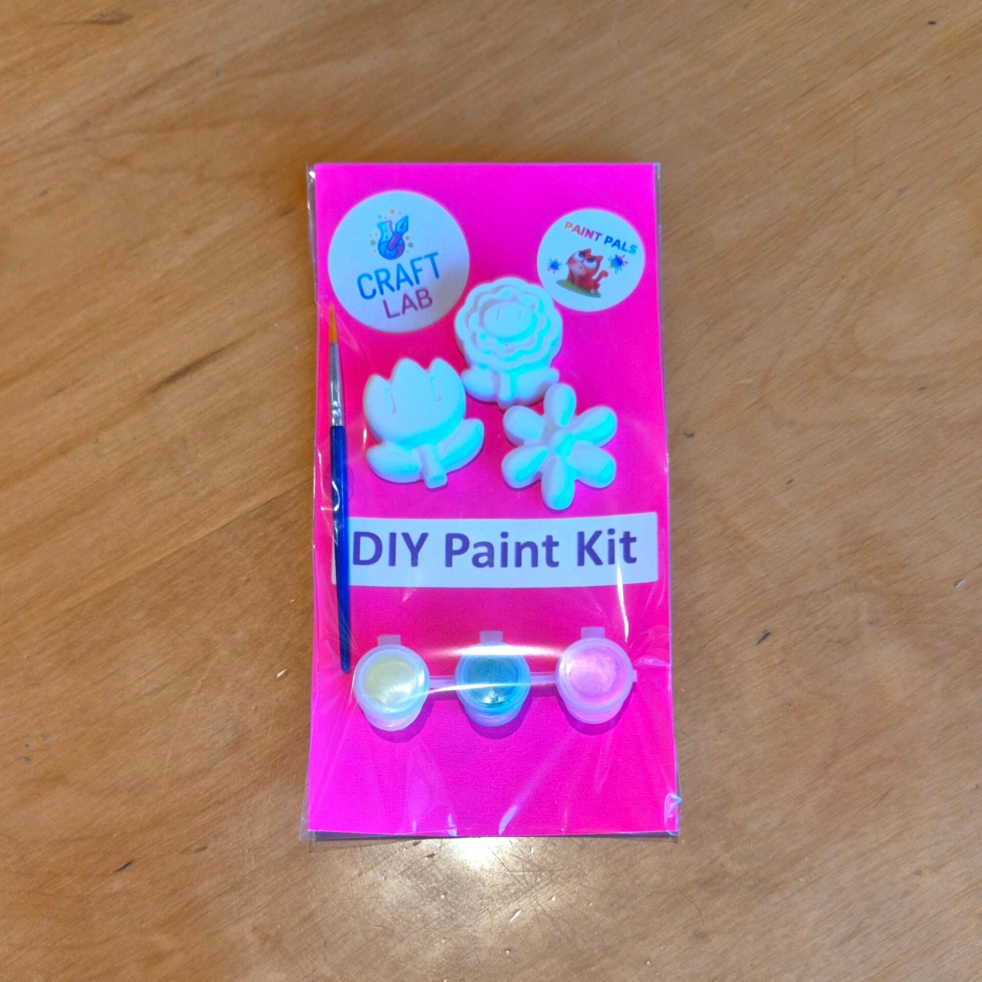 Paint Pals DIY Paint Kit 3 Pce