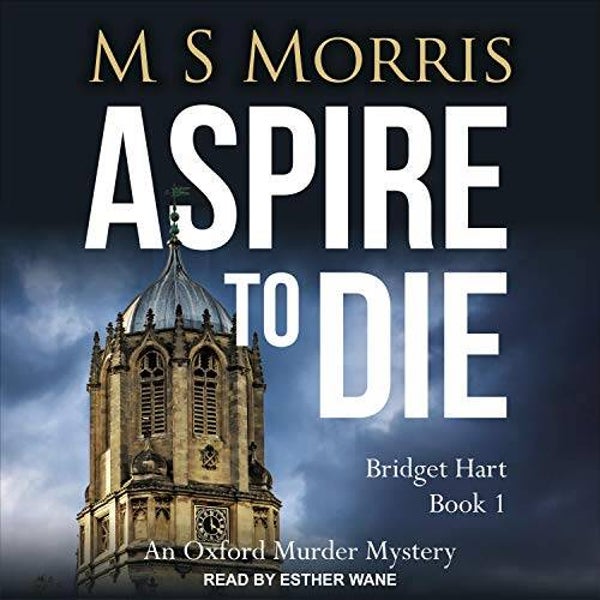 D.I. Bridget Hart by M.S. Morris