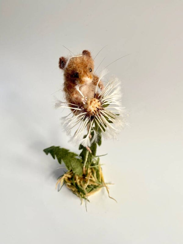 Dwergmuisje op uitgebloeide paardenbloem / Harvestmouse on dandelion