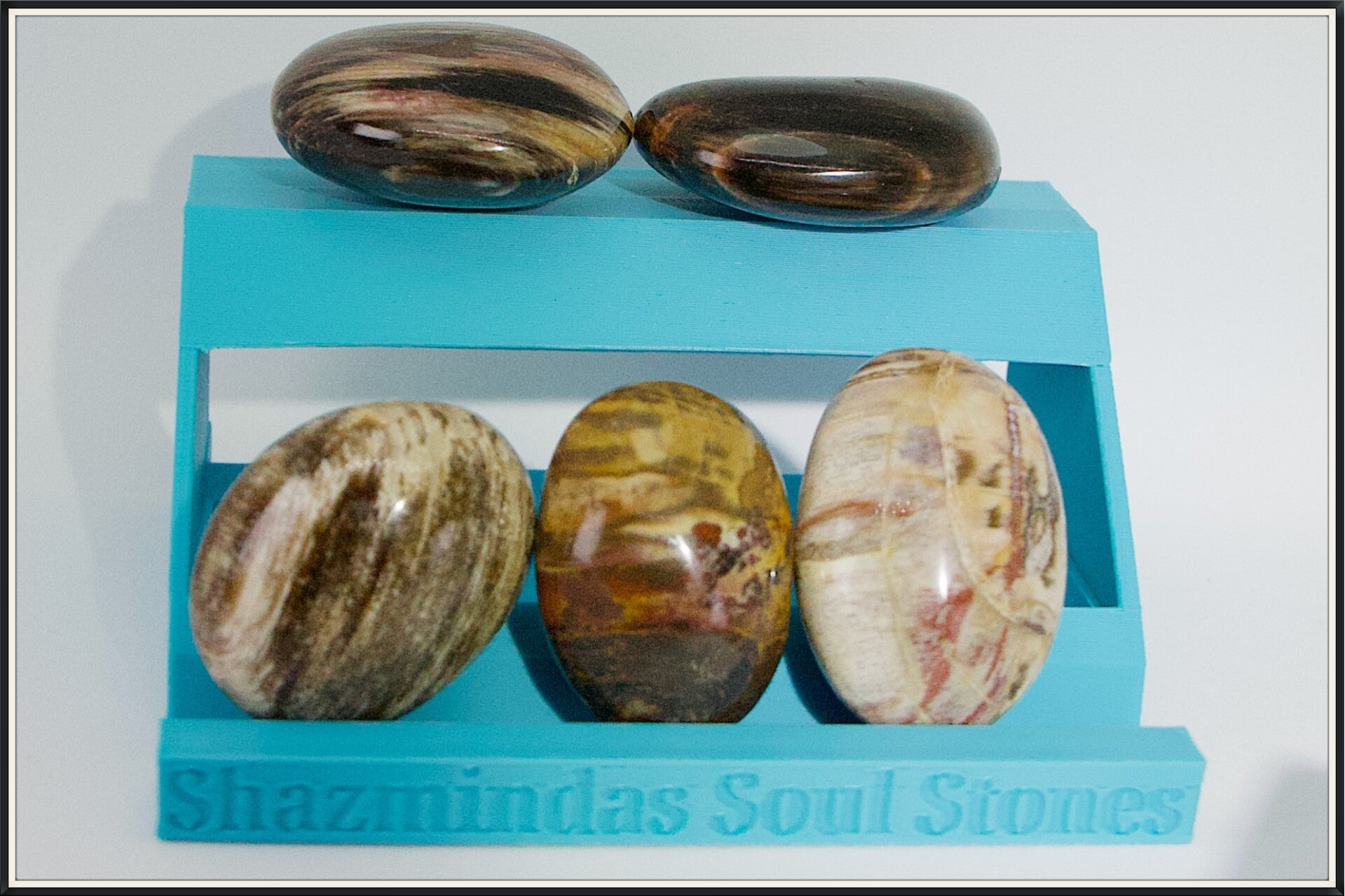 🪵✨ Petrified Wood Palm Stones – Madagascar