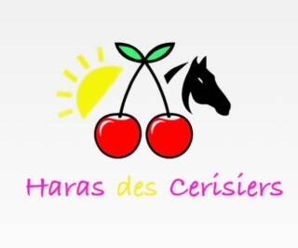 Cours en Visioconférence