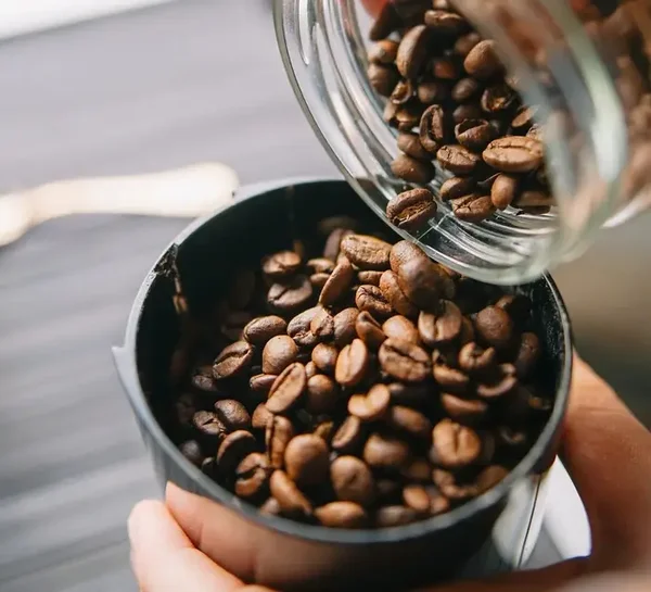 Brésil Santos Décaféiné