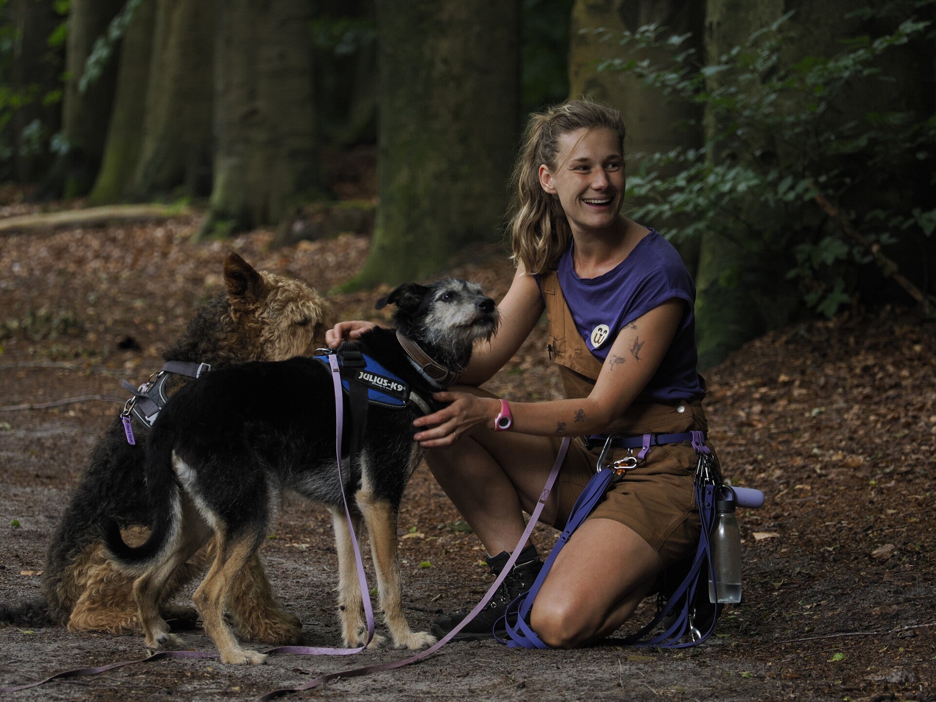 Woef & Wandel persoonlijke aandacht voor honden