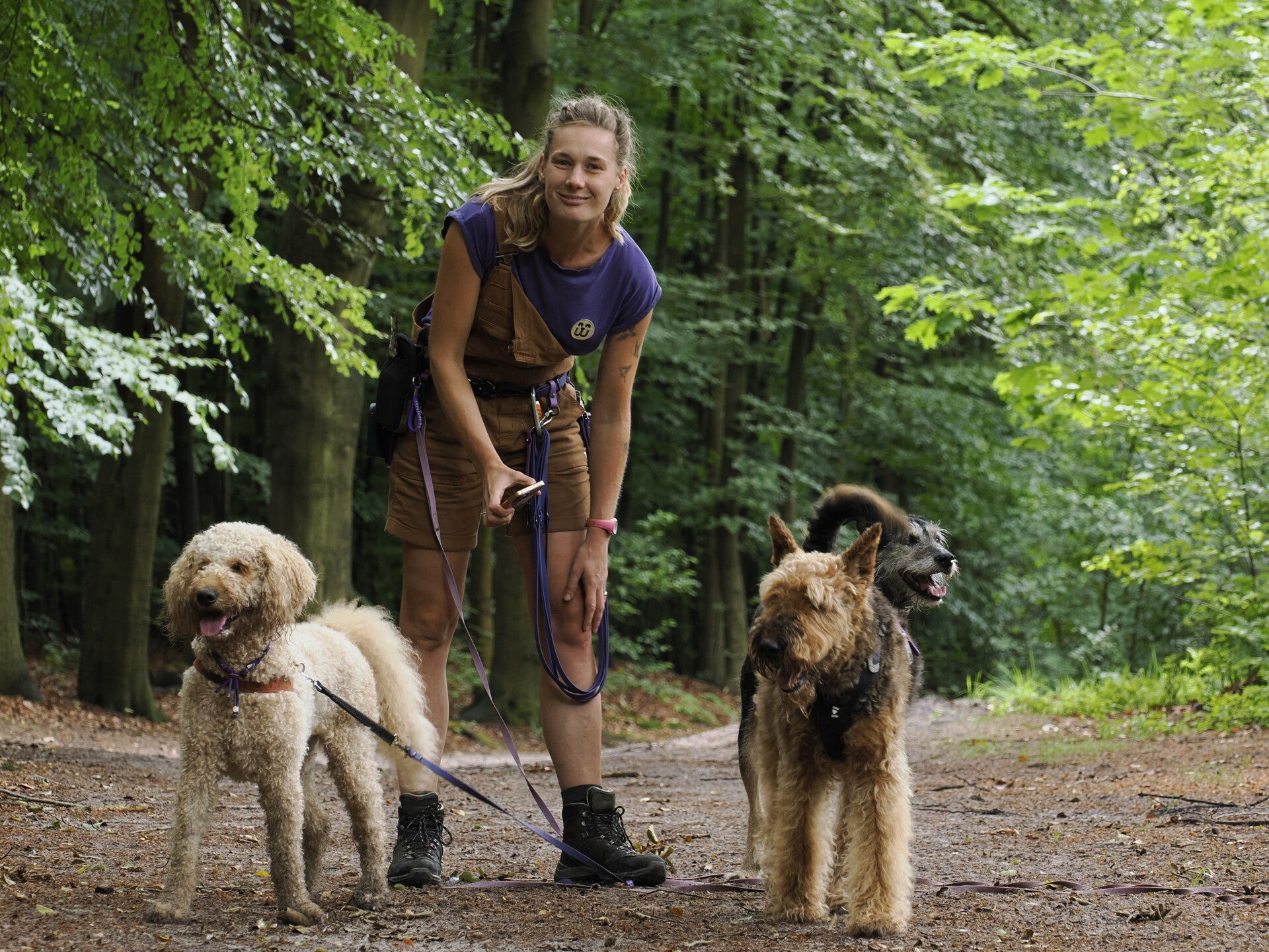 Groepswandeling met hondenuitlaatservice Woef & Wandel. Sociale wandelingen voor honden die van gezelschap houden. Veilig, leuk en sociaal, in de natuur van Nunspeet en omgeving.