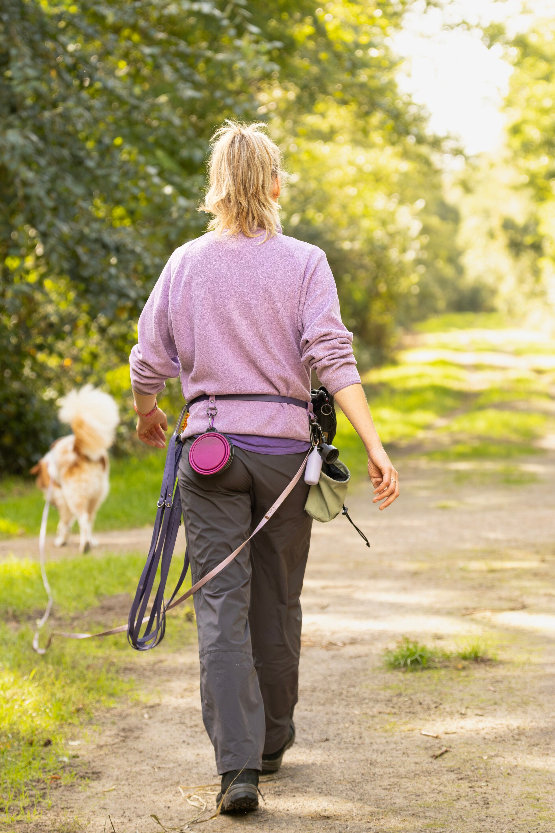 Woef & Wandel persoonlijke aandacht voor honden. Hondenuitjes service regio Noord-Veluwe