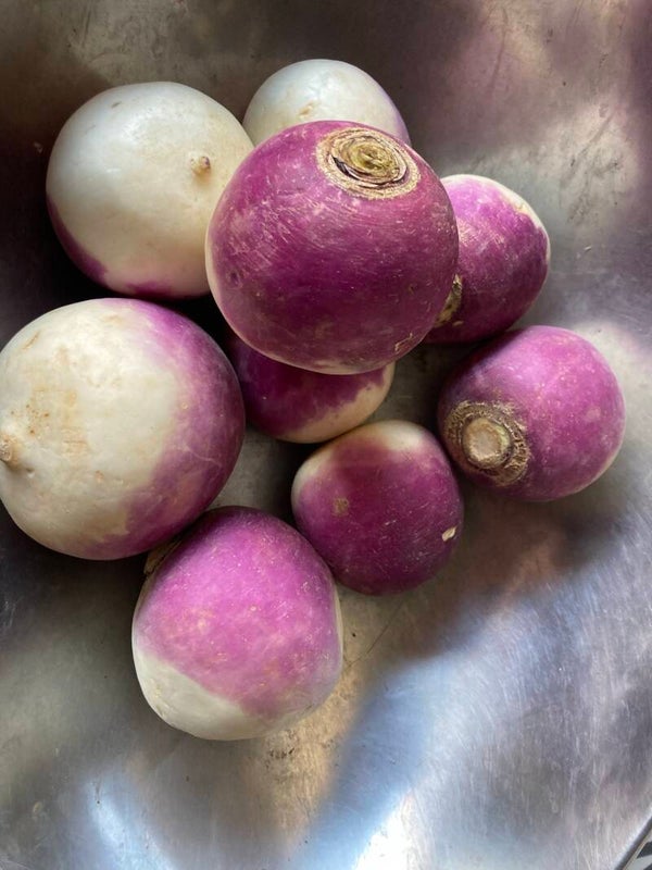 Turnips kg