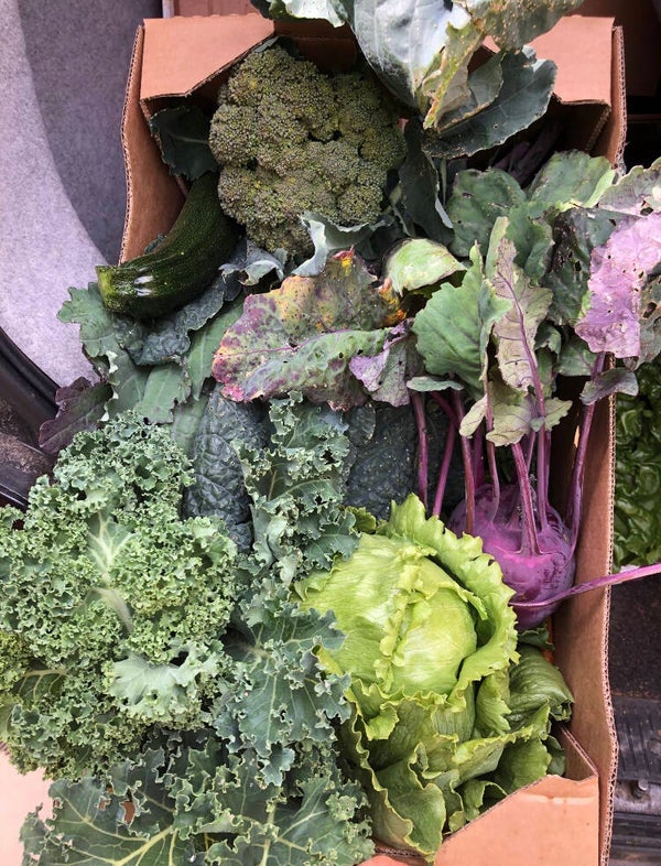 Lincolnshire Organic Seasonal Mix