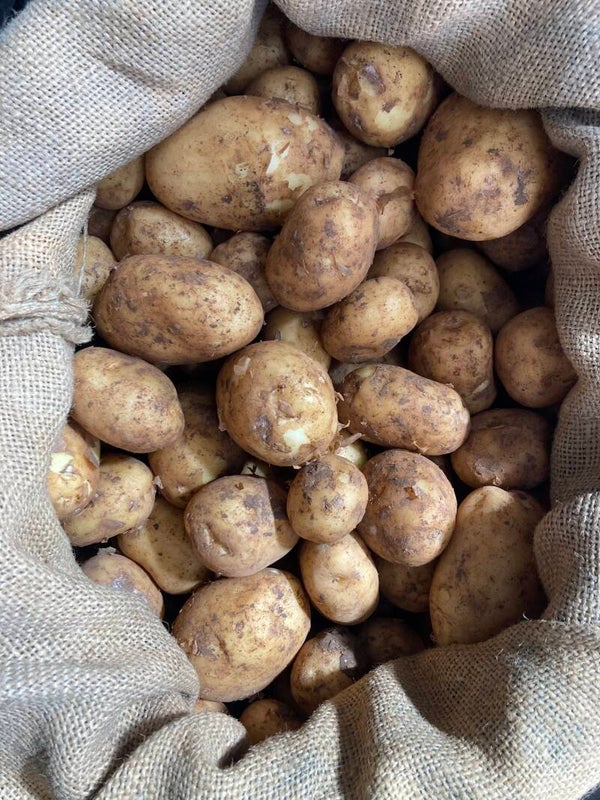 New potatoes (Majorcan) kg