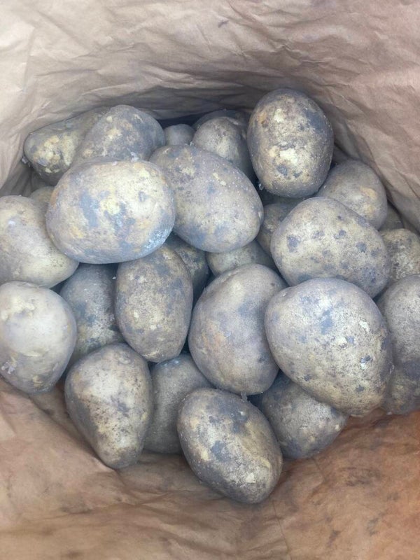 Potatoes Panther 25kg