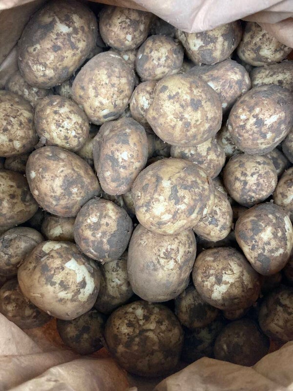 Boston New Potatoes kg