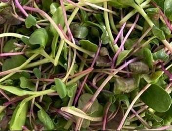 Microgreen Mix