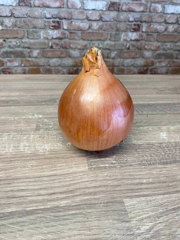 Onion Spanish each
