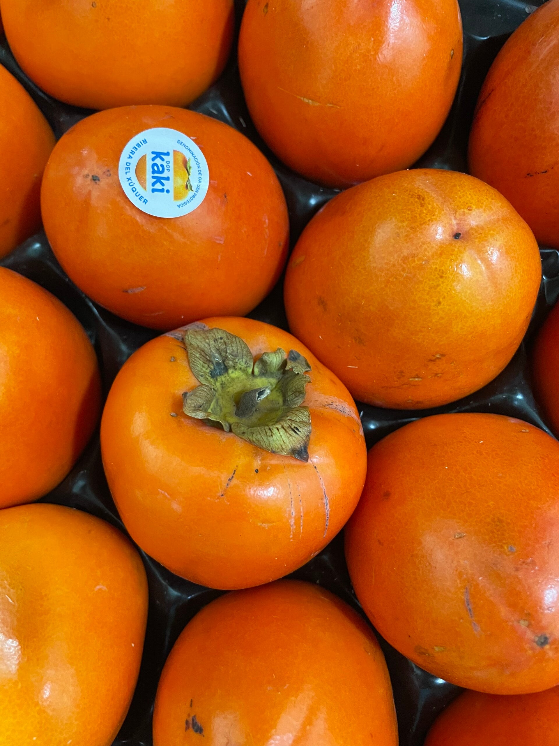 Persimmon Fruit