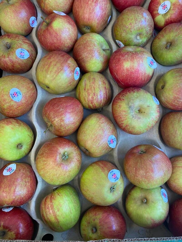 Apples English Cox