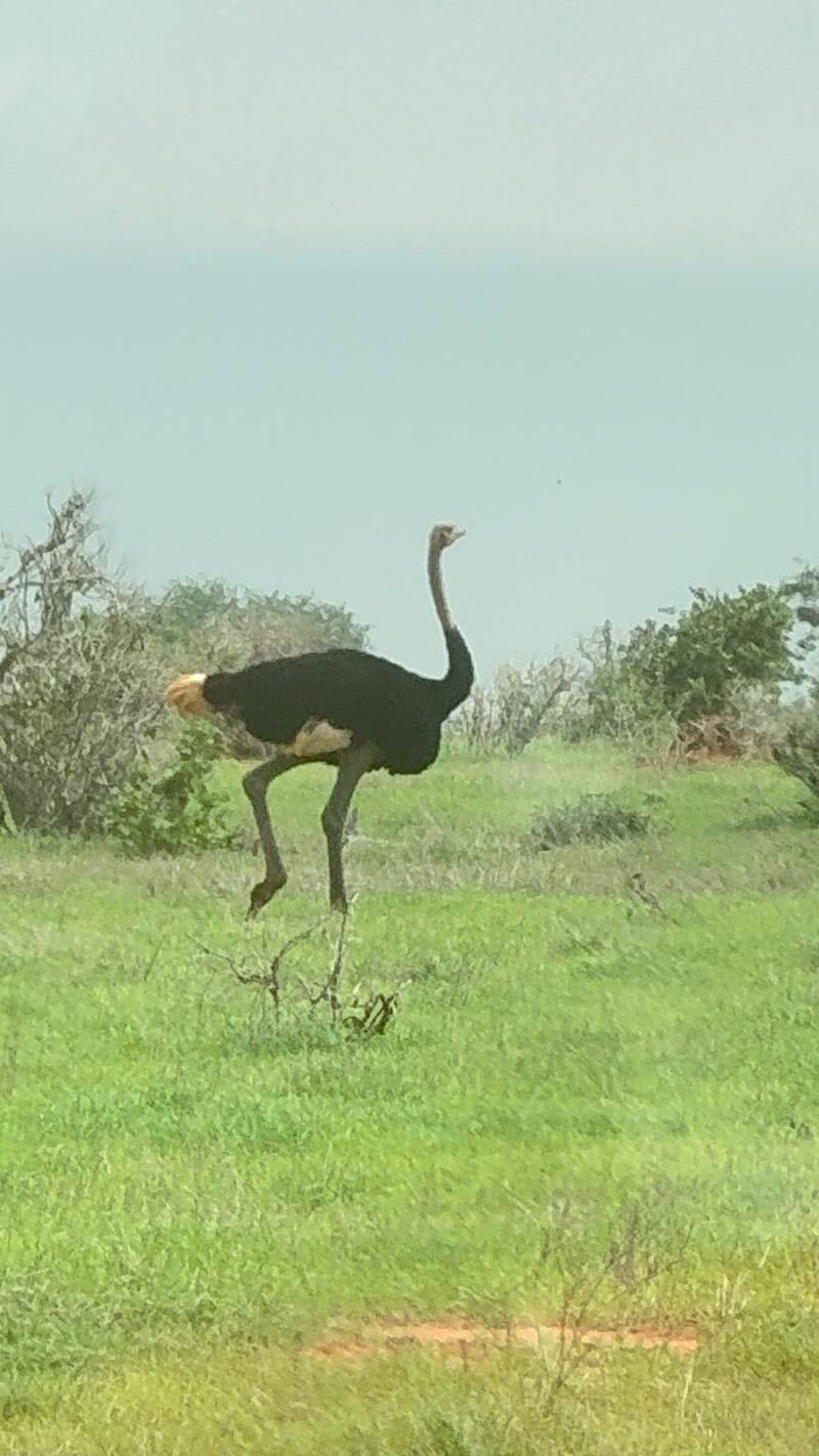 10-standard-gcy5gb.jpg