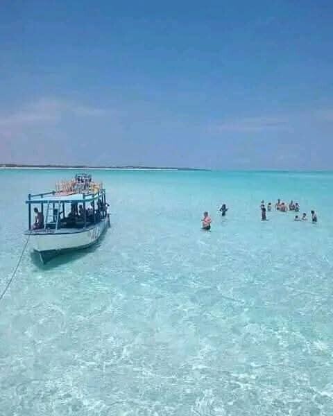 whatsapp-image-2026-06-21-at-12-59-26-standard.jpg
