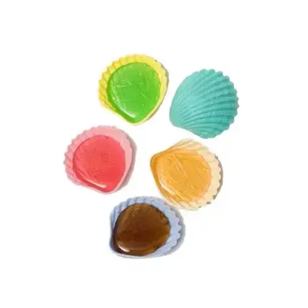 Coquillage /20 pièces