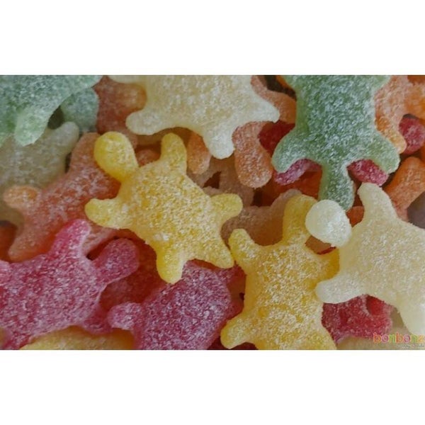 Tortue citrique /250gr