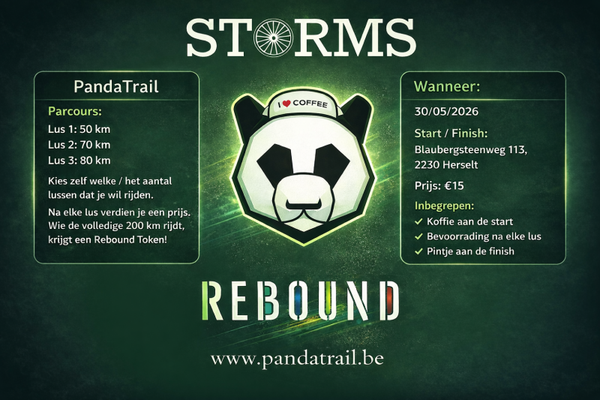 Rebound 2026