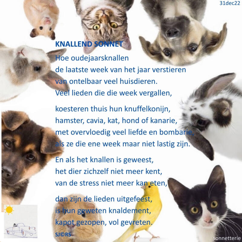 22-12-31-knallend-sonnet-standard.jpg