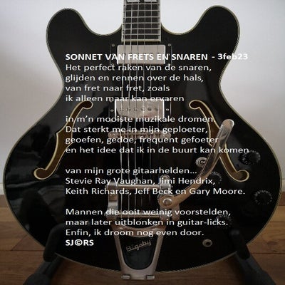 23-02-03-sonnet-van-frets-en-snaren-standard-pt2nu5.jpg