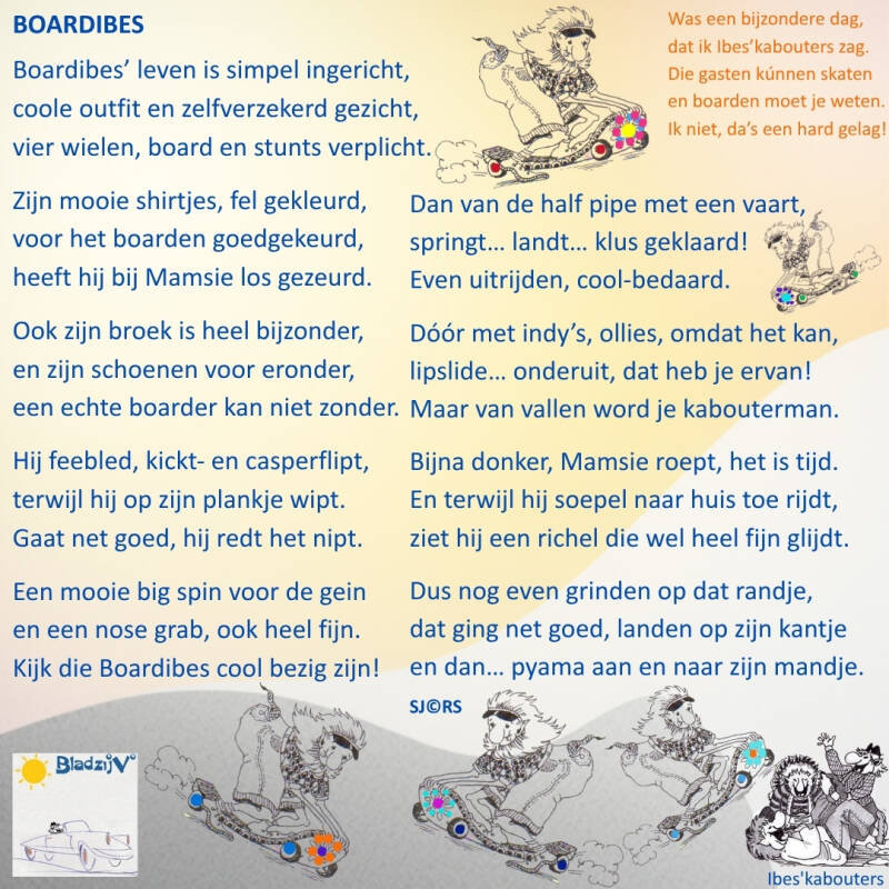 26-05-12-boardibes-standard-evigy3.jpg