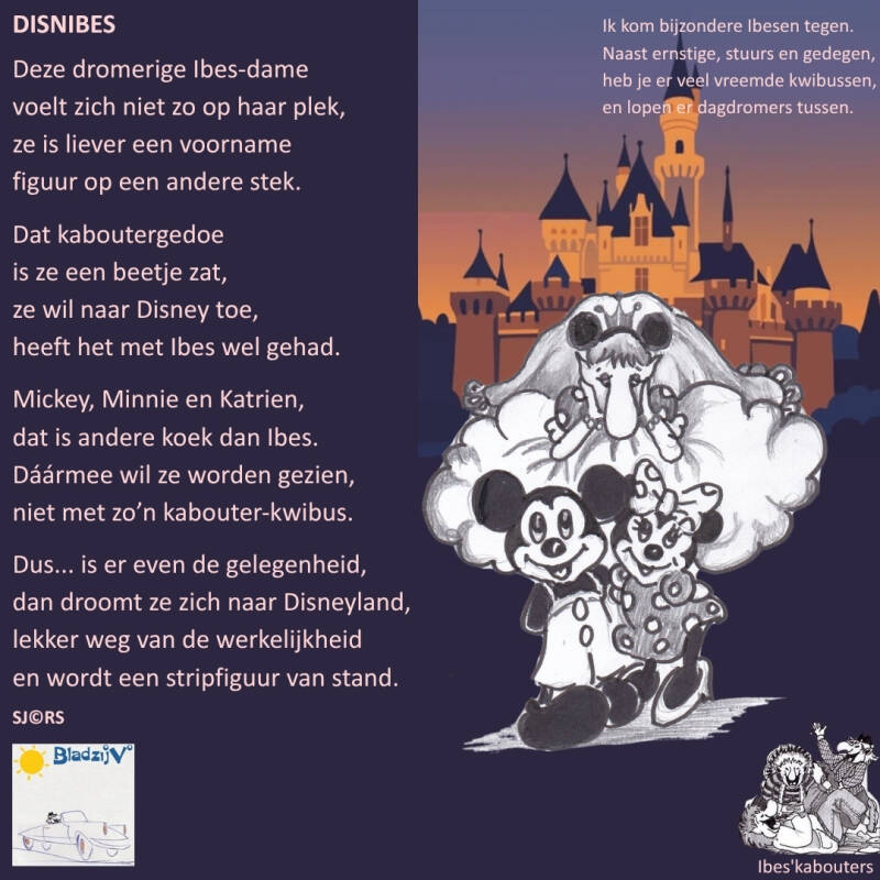 26-08-04-disnibes-standard.jpg