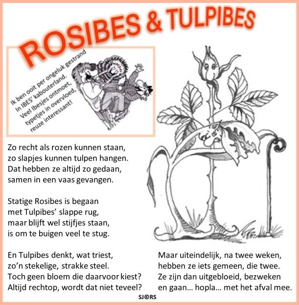 rosibes-en-tulpibes-w-standard.jpg