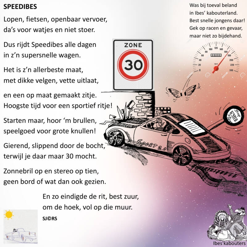 speedibes-standard.jpg