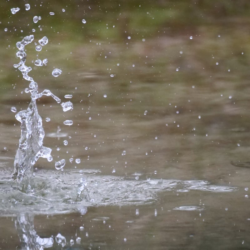 Blijft lastig om een duikende IJsvogel op de foto te krijgen.